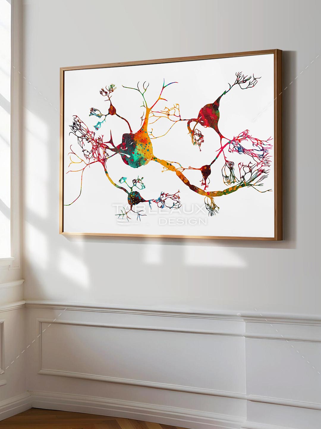 Neurologie - Neurones Chromés