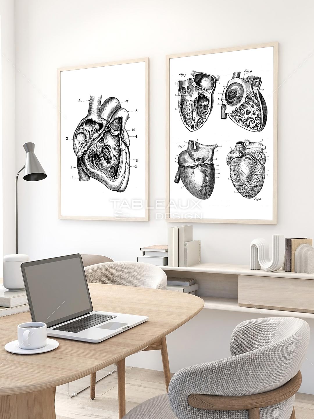 Cardiologie - Cœur Graphique