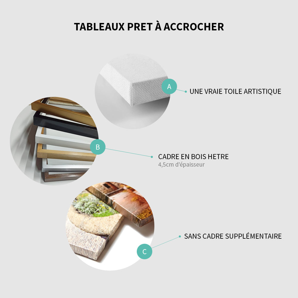 Palette Éclatante : Cinq Oeuvres aux Motifs Colorés