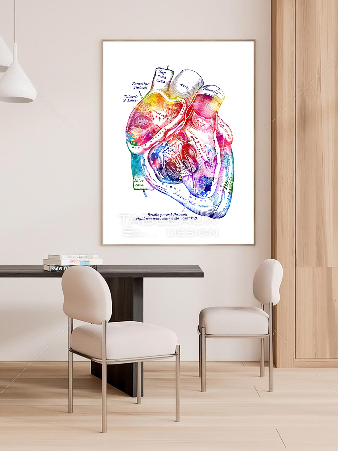 Cardiologie - Cœur coloré