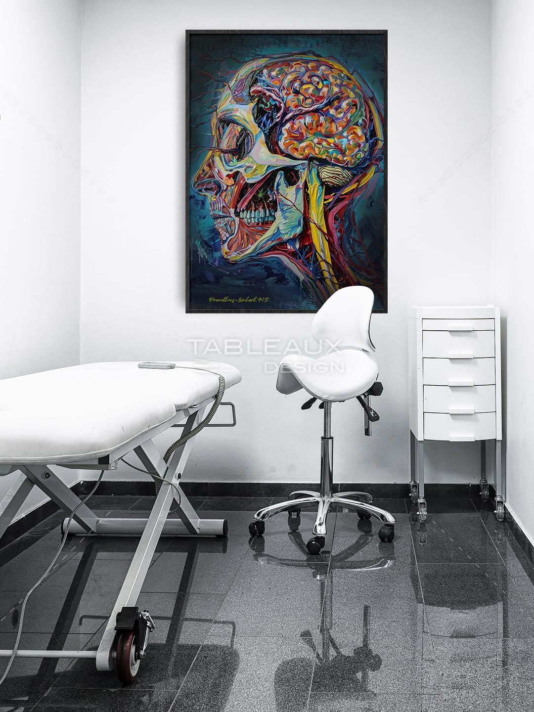 Neurologie - Anatomie Cérébrale