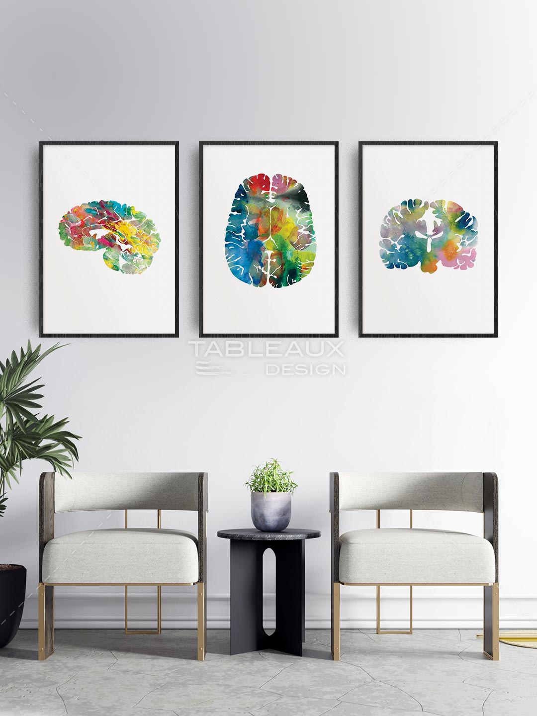 Neurologie - Cerveau Vibrance